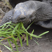 Profile Picture of Anna Hale (@annahale8574) on Youtube