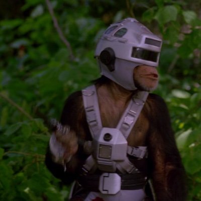 Profile Picture of Christopher McGowan (@chrisnmcgowan) on Twitter