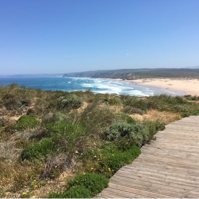 Profile Picture of Nick Gillott (@nickgillott) on Twitter