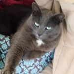 Profile Picture of Michelle Ratchford (@shellaratchford) on Instagram