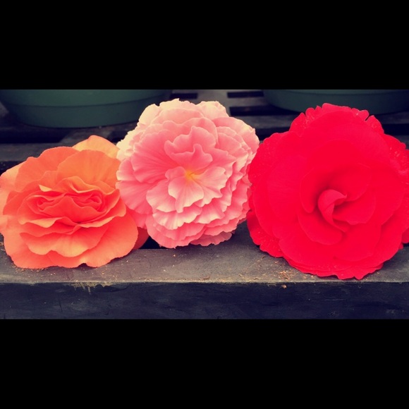 Profile Picture of Sam Byczynski (@byczynski24) on Poshmark