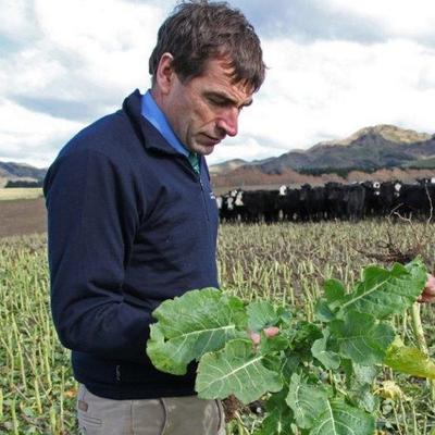 Profile Picture of Andrew Dowling (@AndrewPGW) on Twitter