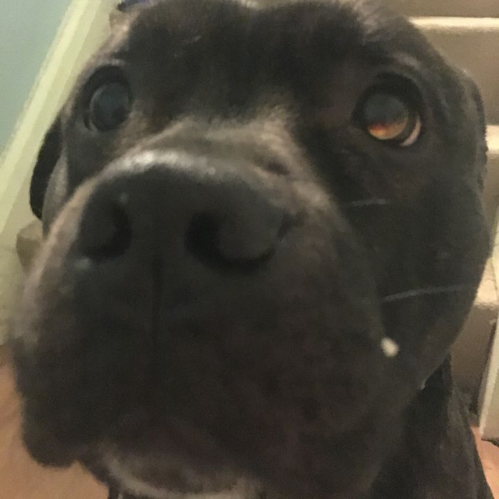 Profile Picture of   tia Duncan... (@tia_duncan_2009) on Tiktok