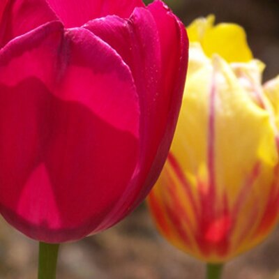 Profile Picture of Erik Bogart (@stapidsayswhat) on Twitter