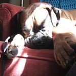 Profile Picture of michaelcaira (@mcaira3458) on Instagram