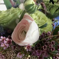 Profile Picture of Ian Arnof (@ian-arnof) on Quora