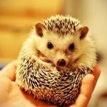 Profile Picture of Jason Gabosa (@jasongabosa) on Instagram