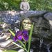 Profile Picture of Pat Evans (@jimkantor) on Pinterest