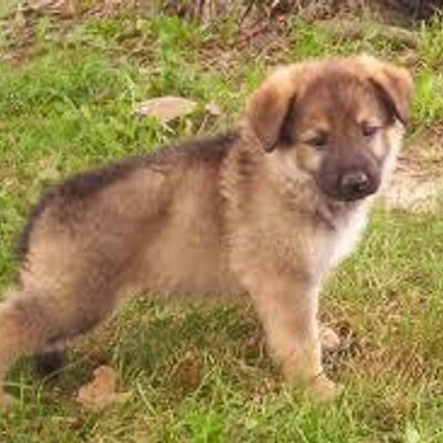 Profile Picture of Steven Gibb (@stevengibb2011) on Twitter