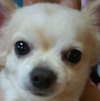 Profile Picture of Lai Roy (@Lai-Roy) on Facebook