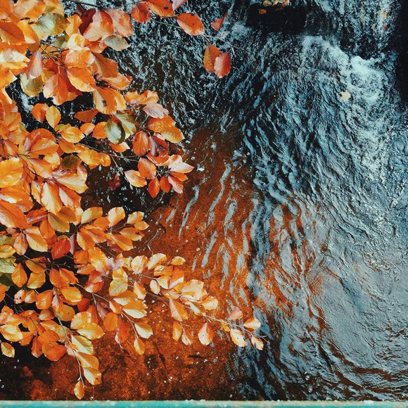 Profile Picture of Jeff-annie Chavannes (@jchavannes) on Poshmark