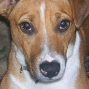 Profile Picture of Frances Hayes (@franceshayes7254) on Youtube