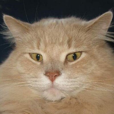 Profile Picture of Ted R Lowe (@tedl57) on Twitter