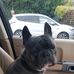 Profile Picture of Glyn Iles (@glyn.iles) on Facebook
