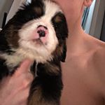 Profile Picture of Derek Savoie (@dereksavoie14) on Instagram