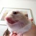 Profile Picture of David Keet (@david.okeefe.5283) on Facebook