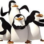 Profile Picture of Thomas Flatt (@flattthomas) on Instagram