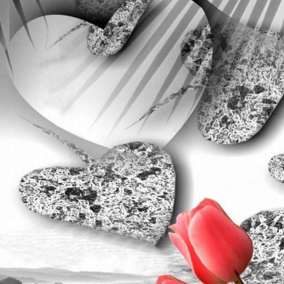 Profile Picture of Deborah Mitchell (@deborahmitch616) on Poshmark