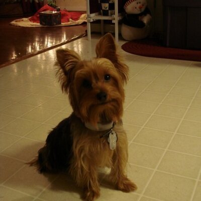Profile Picture of Jeff Mays (@jeffmays88) on Twitter