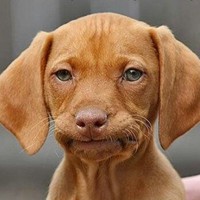 Profile Picture of Jim Hope (@jim-hope-17) on Quora