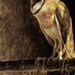 Profile Picture of Давид (@samarincvt) on Instagram