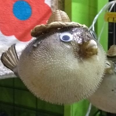 Profile Picture of Jonathan Badger (@JonathanBadger8) on Twitter