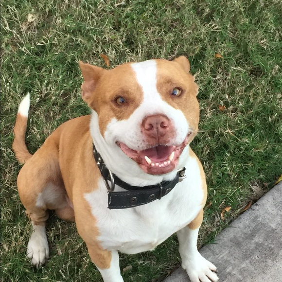 Profile Picture of Devin Gonzales (@gonzadevin0527) on Poshmark