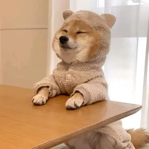 Profile Picture of t3ine (@magdagrzegorczyk) on Tiktok