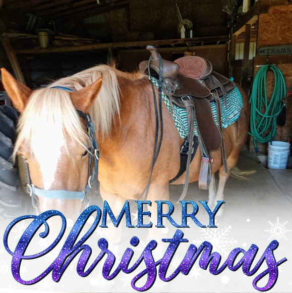 Profile Picture of Lily Ferguson (@ferggielily) on Poshmark