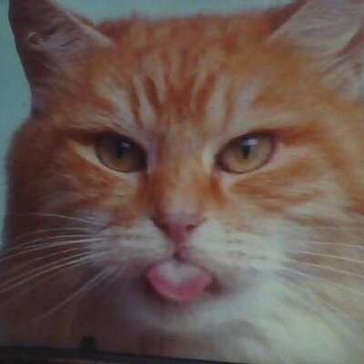 Profile Picture of PAMELAPELL (@PAMELAPELL) on Twitter