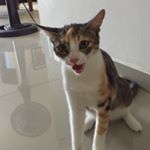 Profile Picture of Sebastian grimaldos garzon (@sebastian54163641) on Instagram