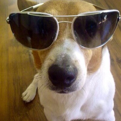 Profile Picture of John Kotuc (@kotula79) on Twitter