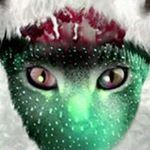 Profile Picture of Dave Pounder (@pounderdave) on Instagram