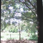 Profile Picture of Clinton Tony (@clintontony8402) on Instagram