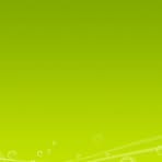 Bradford Flower Van - Facebook Profile Picture of Bradford Flower Van (@bradford.flowervan) on Facebook