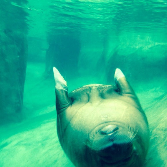 Profile Picture of Alex Brunow (@alexbrunow) on Poshmark