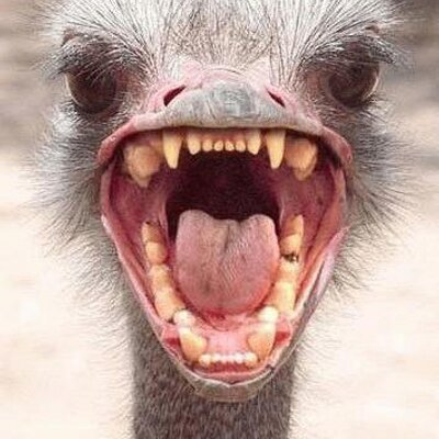 Profile Picture of Eric Laframboise (@EricLaframbois1) on Twitter