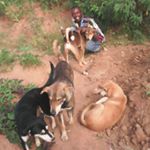 Profile Picture of William Edison (@william.edison) on Instagram