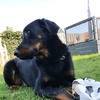Profile Picture of Jay Schumacher (@@j.schumacher15) on Tiktok