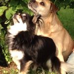 Profile Picture of Daniela König (@daniela_koenig) on Instagram