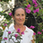 Profile Picture of Julia Helena Harkins Guedes (@bulinha) on Flickr