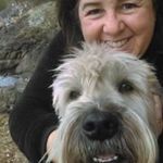 Profile Picture of Dawn Couch (@pnwdawn) on Instagram
