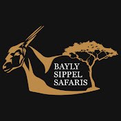 Profile Picture of Bayly Sippel Hunting Safaris (@baylysippelsafaris) on Youtube