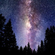 Profile Picture of Robert Flagg (@xwhyxtryx) on Youtube