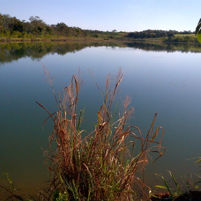 Profile Picture of Richard Vick (@RichardMonteAle) on Twitter