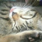 Profile Picture of John MINE  Lootens (@johnlootens) on Instagram