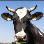 Profile Picture of Fred Seth (@Fred-Seth) on Facebook