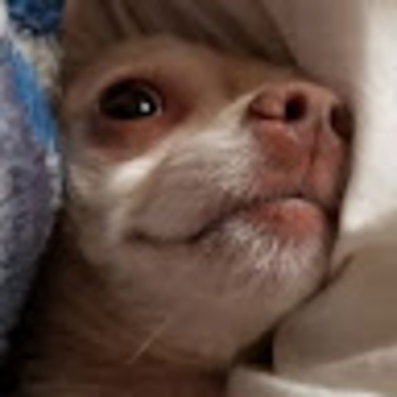 Profile Picture of Andrew Mccabe (@andrewmccabe848) on Poshmark