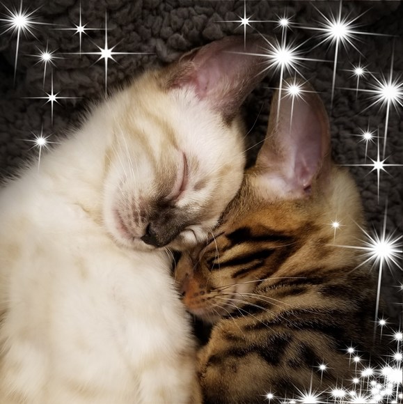 Profile Picture of Dawn Thomas (@dwalker56455) on Poshmark