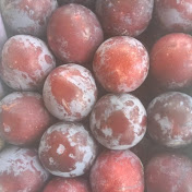 Profile Picture of Kamran Shaukat (@KamranShaukat-gp2ny) on Youtube